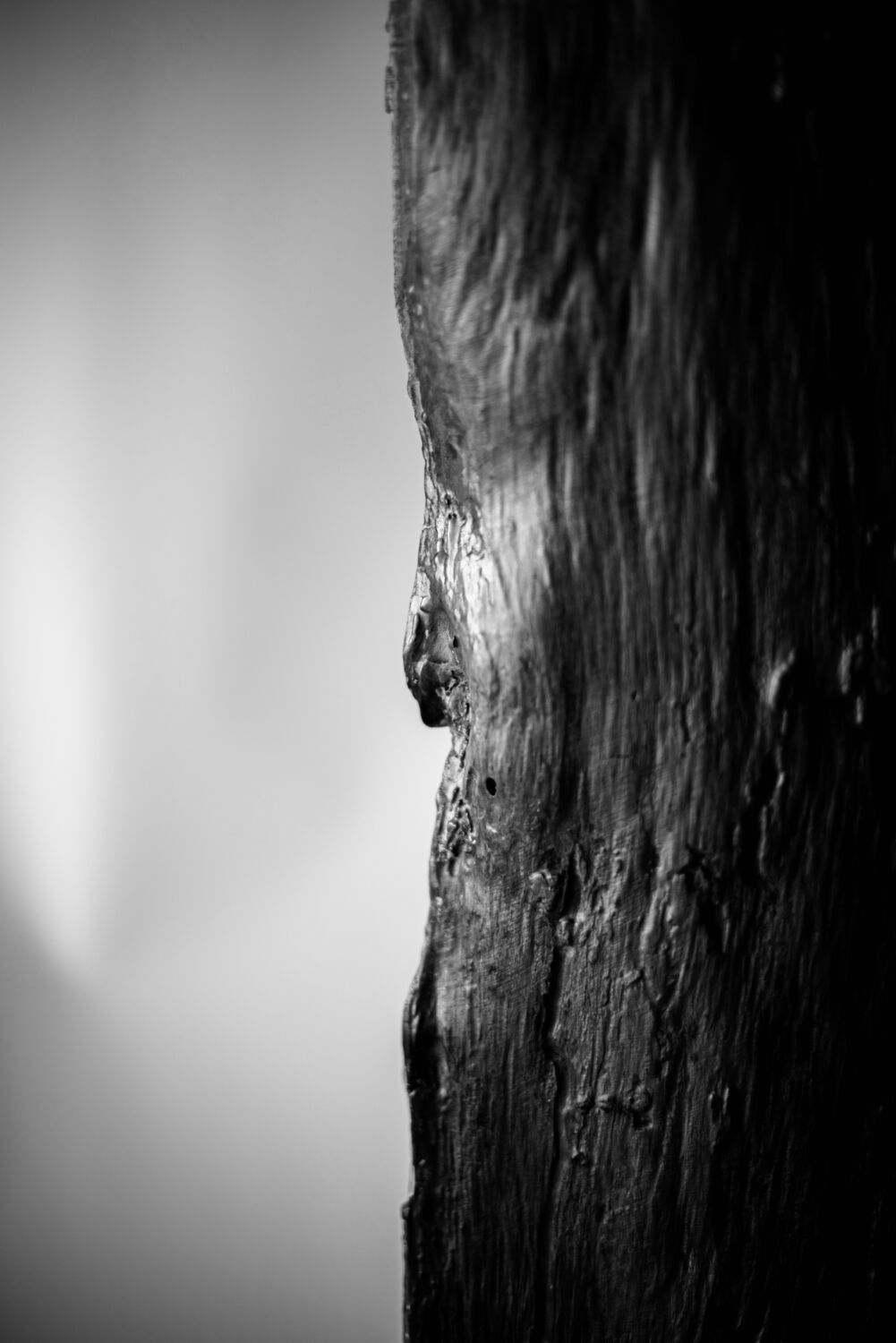 reflex yannick